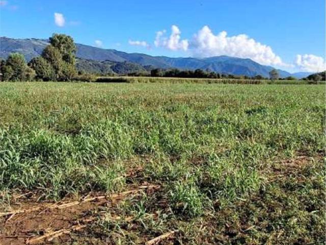 Terreno in vendita a Marostica, Vicenza
