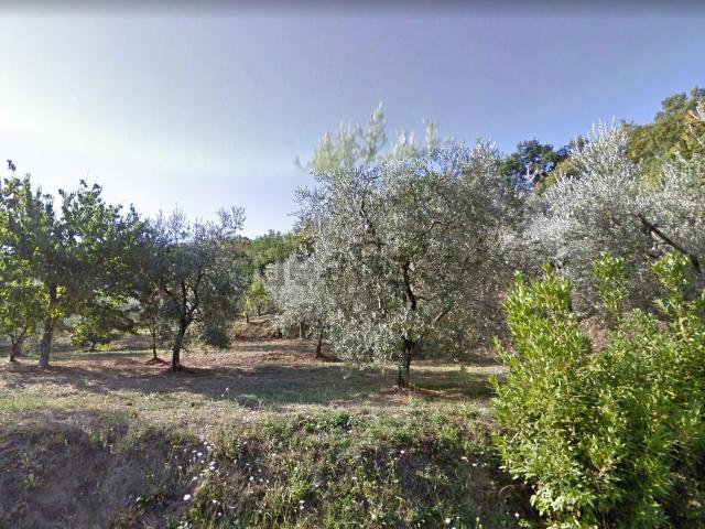 Terreno in vendita a Montevettolini, Toscana