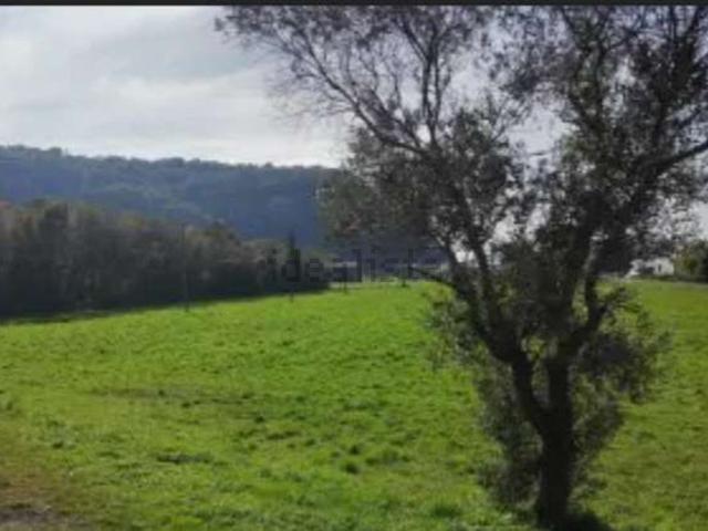 Terreno in vendita a Montecchio Maggiore, Veneto