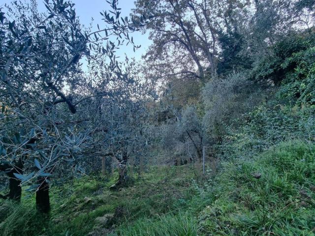 Terreno in vendita a San Giacomo, Camporosso