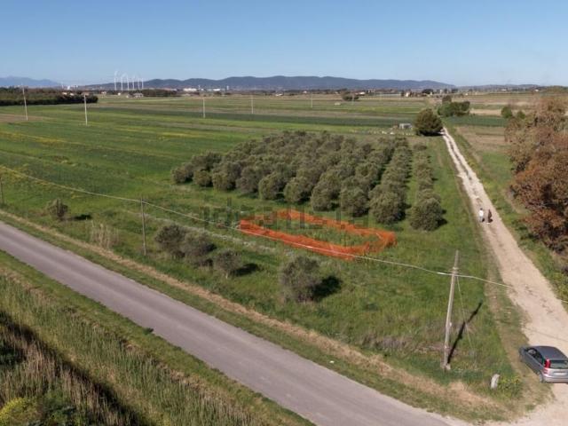 Terreno in vendita a Franciana, Piombino