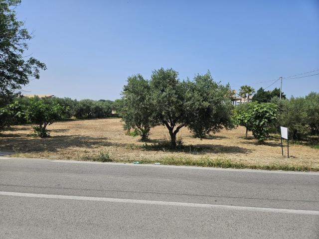 Terreno in vendita a Cepagatti, Abruzzo