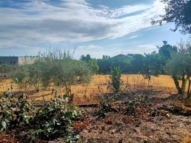 Terreno in vendita a Giarre, Sicilia
