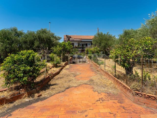 Terreno in vendita a Massannunziata, Mascalucia