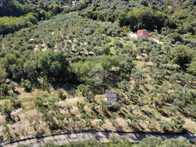Terreno in vendita a Pistoia, Toscana