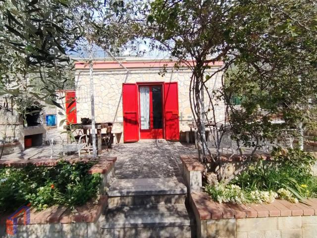 Terreno in vendita a Puglia, Foggia