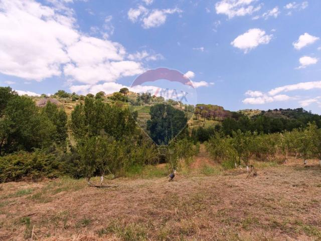 Terreno in vendita a Piazza, Sicilia