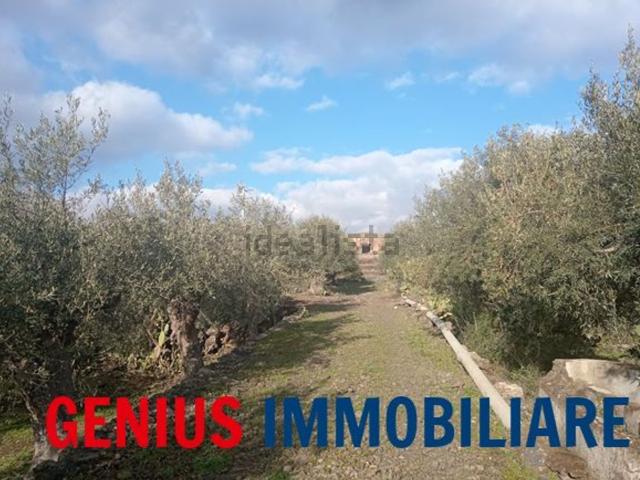 Terreno in vendita a Biancavilla, Sicilia