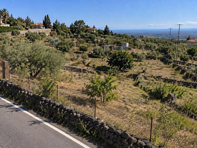 Terreno in vendita a Santa Maria di Licodia, Catania