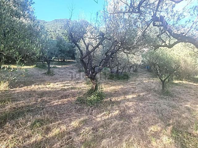Terreno in vendita a Terni, Umbria