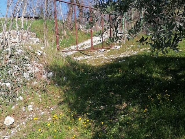 Terreno in vendita a Tregnago, Veneto