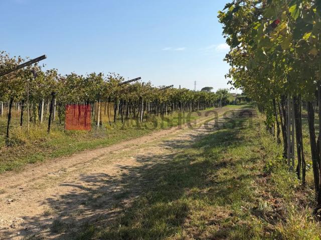 Terreno in vendita a Pedemonte, San Pietro in Cariano