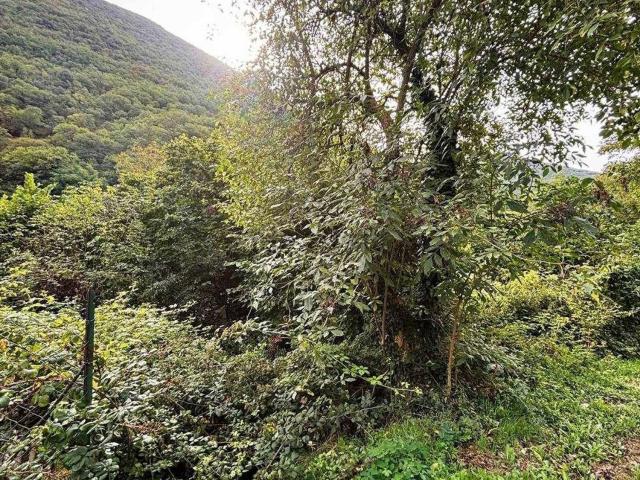 Terreno in vendita a Marche, Macerata