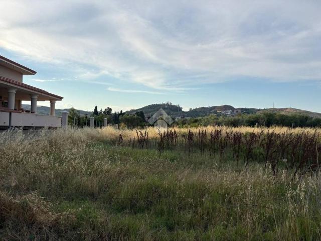 Terreno in vendita a Calabria, Catanzaro