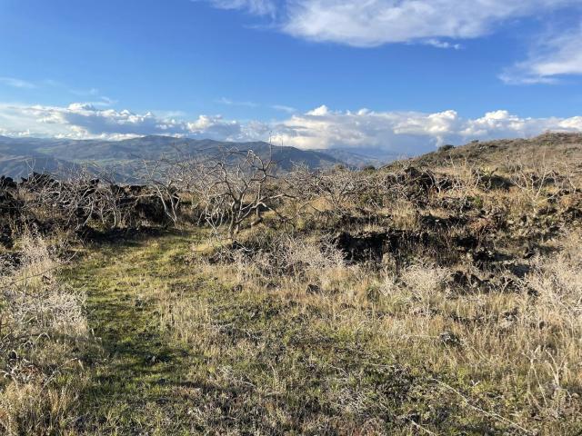 Terreno in vendita a Bronte, Sicilia