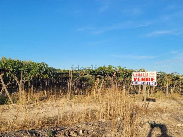 Terreno in vendita a Puglia, Foggia