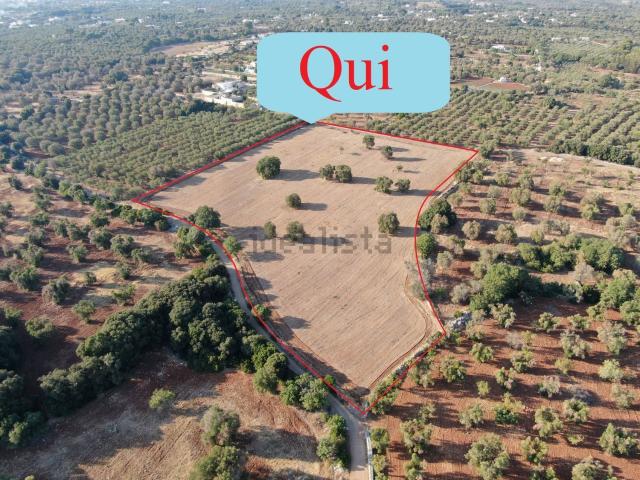 Terreno in vendita a Puglia, Brindisi