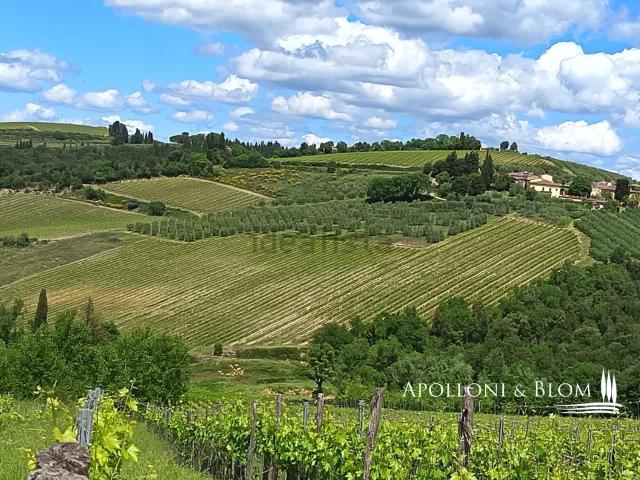 Terreno in vendita a Gavignano, Lecchi