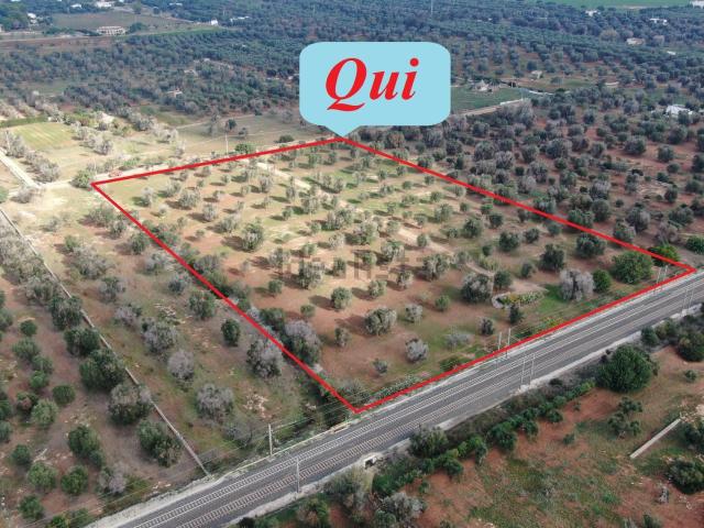 Terreno in vendita a Puglia, Brindisi