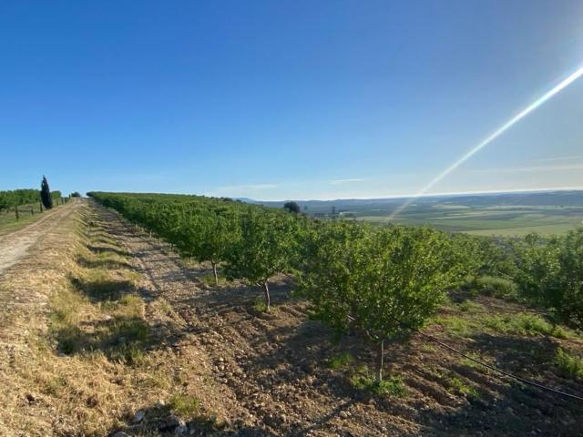 Terreno in vendita a Noto, Sicilia