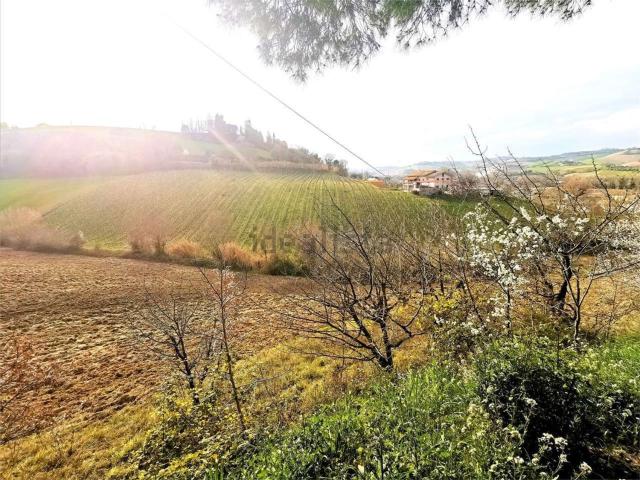 Terreno in vendita a Marche, Ascoli Piceno