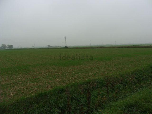 Terreno in vendita a Roncalceci, Ravenna