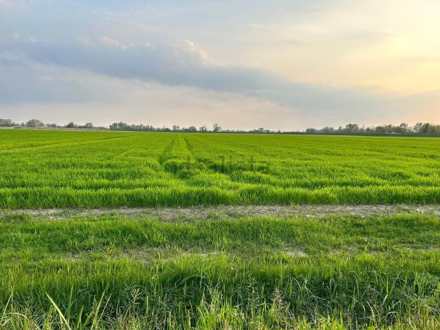 Terreno in vendita a Vigonovo, Fontanafredda