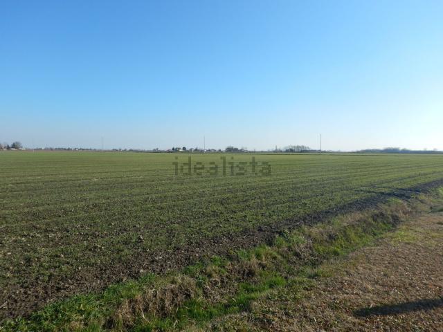 Terreno in vendita a Musile Di Piave, Veneto