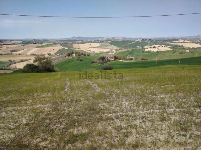 Terreno in vendita a Castelnuovo, Marche