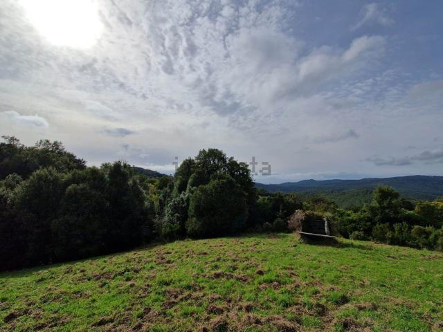 Terreno in vendita a Rosignano Marittimo, Toscana