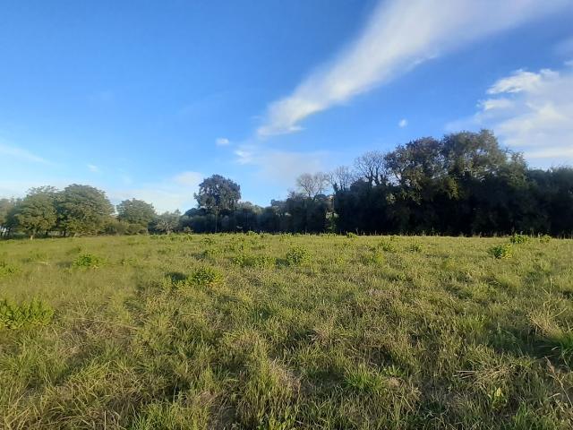 Terreno in vendita a Marche, Macerata