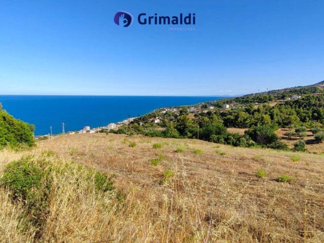 Terreno in vendita a Calabria, Cosenza