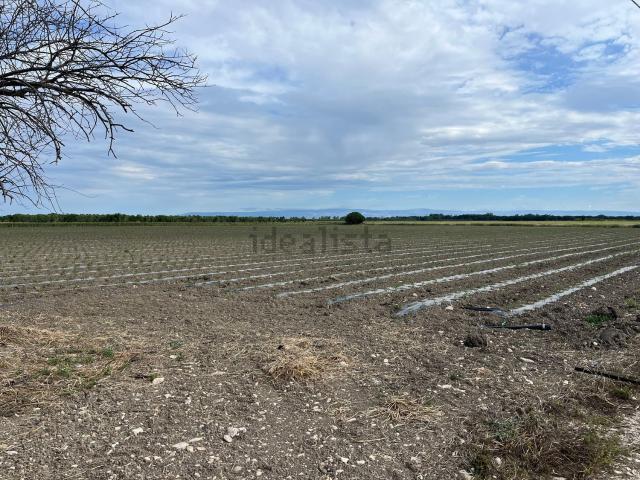 Terreno in vendita a Puglia, Foggia
