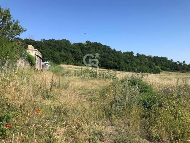 Terreno in vendita a Unione di Comuni Montani Colline del Fiora, Latera