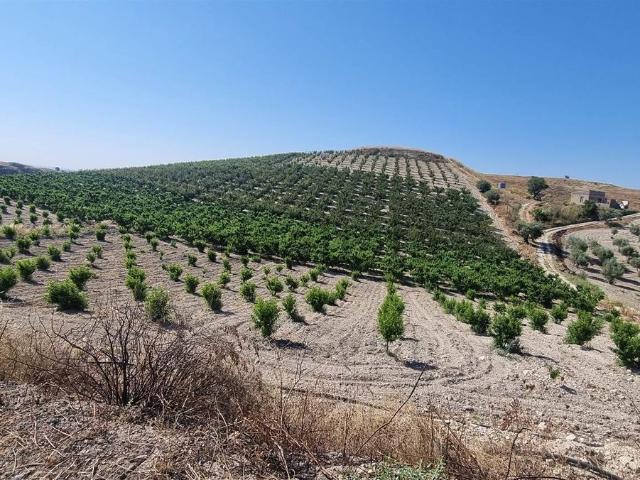 Terreno in vendita a Serradifalco, Caltanissetta