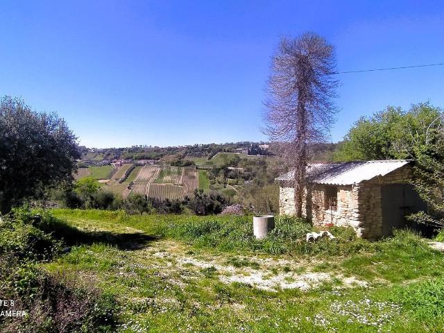Terreno in vendita a Ari, Abruzzo