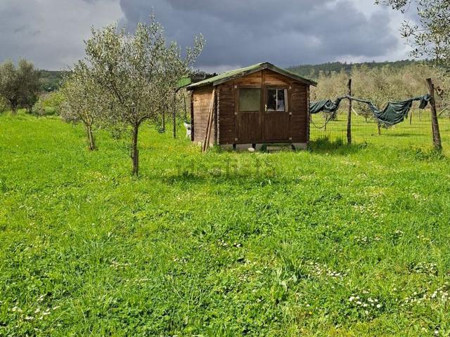 Terreno in vendita a Gradoli, Lazio