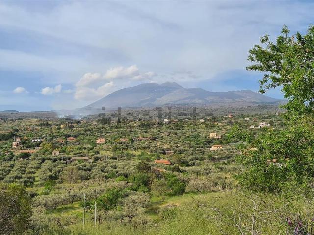 Terreno in vendita a Santa Maria Di Licodia, Sicilia