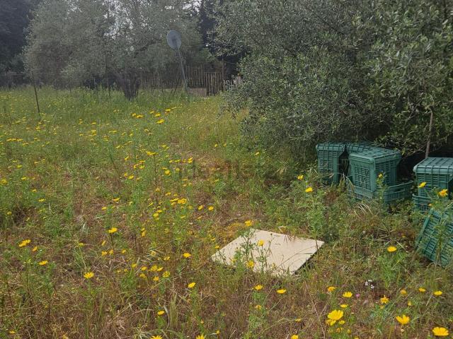 Terreno in vendita a San Luca, Caltanissetta