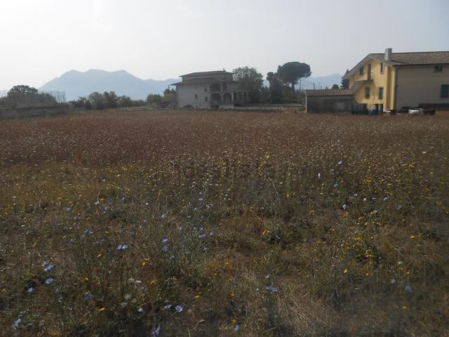 Terreno in vendita a Montaperto, Prata Principato Ultra
