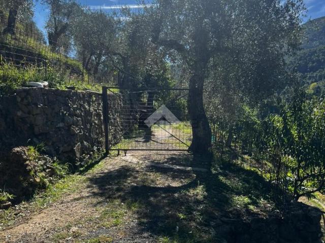 Terreno in vendita a Baiardo, Liguria