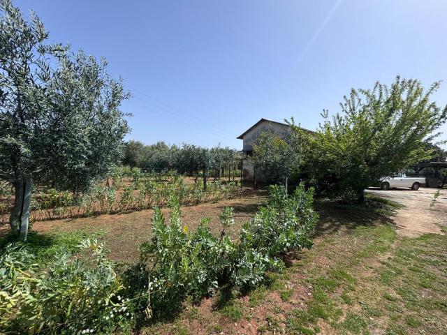 Terreno in vendita a Calabria, Catanzaro