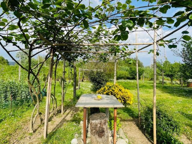 Terreno in vendita a Ponte di Arcola, Arcola