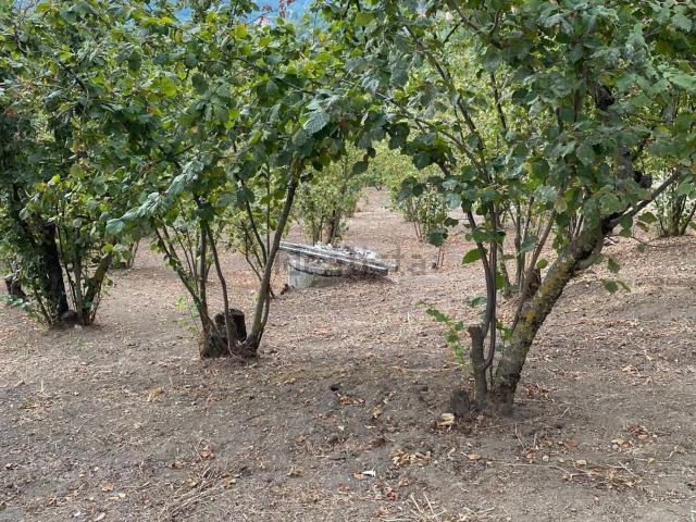 Terreno in vendita a San Felice, Capriglia Irpina