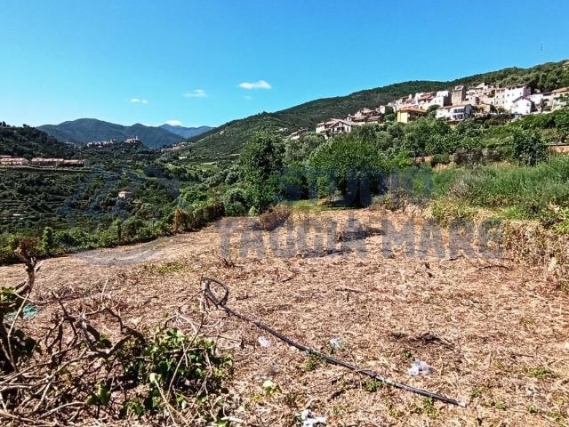 Terreno in vendita a Pompeiana, Liguria