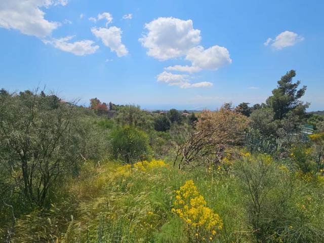 Terreno in vendita a Pedara, Sicilia