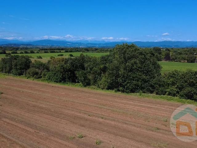 Terreno in vendita a Gradisca D'isonzo, Friuli-Venezia Giulia