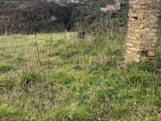 Terreno in vendita a Calabria, Cosenza