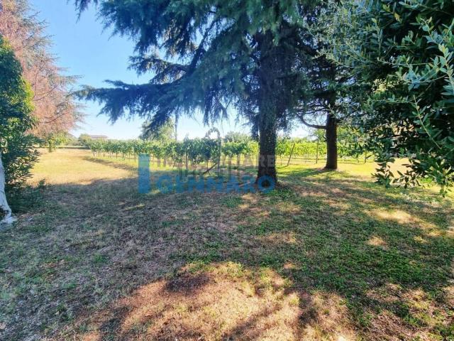 Terreno in vendita a Pavia Di Udine, Friuli-Venezia Giulia