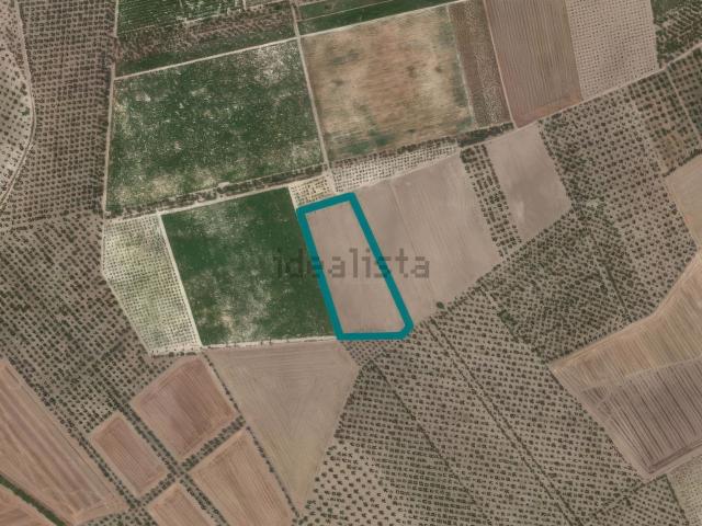 Terreno in vendita a Puglia, Foggia